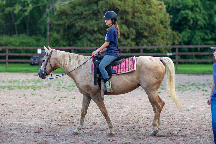 Our Lesson Horses - Manitou Hill Farms