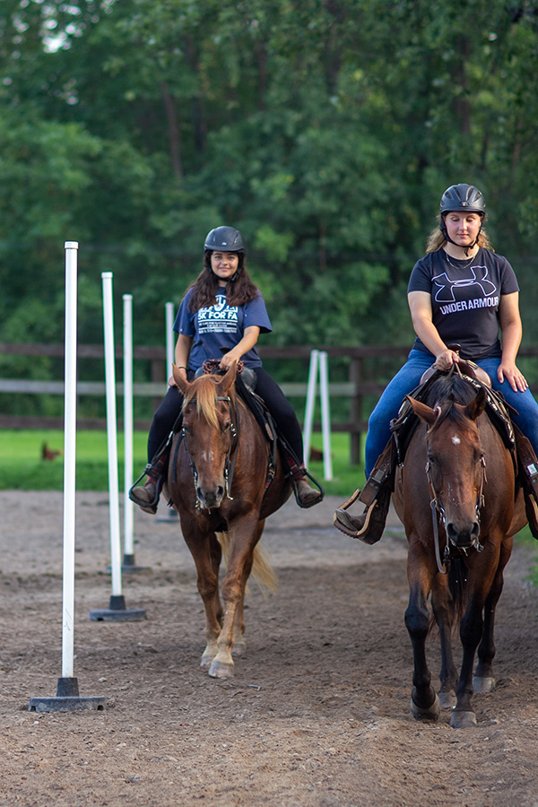 Our Lesson Horses - Manitou Hill Farms