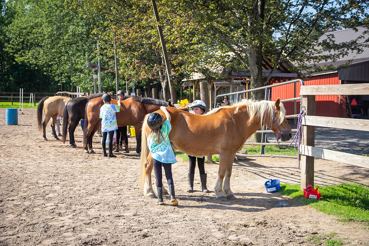 Summer camp at Manitou Hill Farms