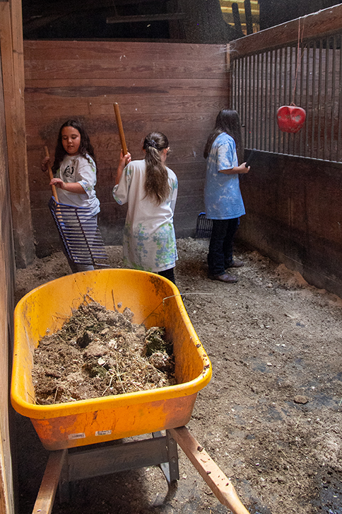 Summer camp at Manitou Hill Farms