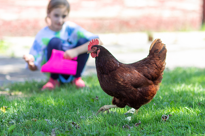 Birthday parties at Manitou Hill Farms