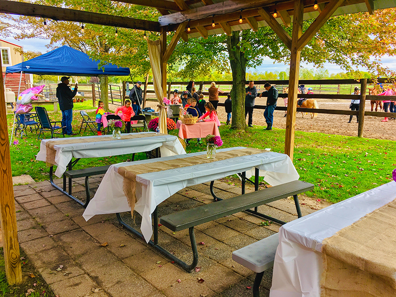 Birthday parties at Manitou Hill Farms