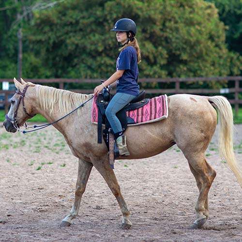 Private Horse Riding Lessons at Manitou Hill Farms