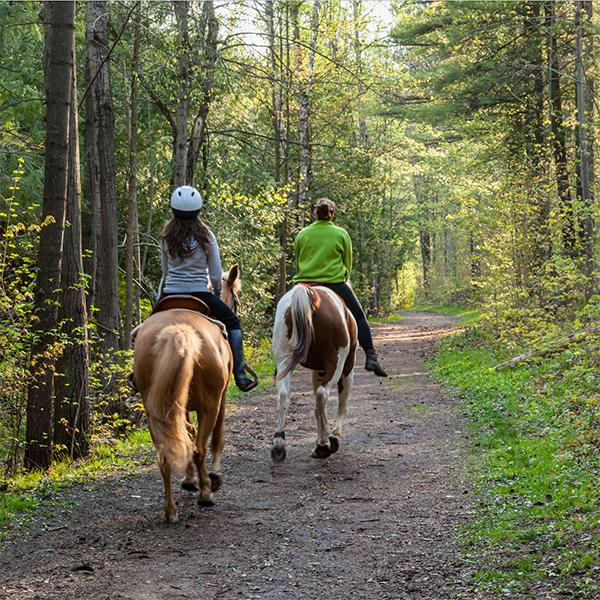 Semi-private trail rides at Manitou Hill Farms